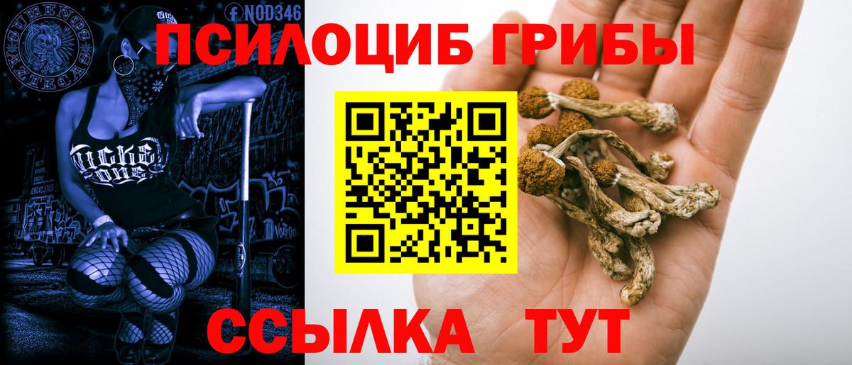 Псилоцибиновые грибы Cubensis  Галлюциногенные грибы прущие грибы  Вход с VPN  Екатеринбург 